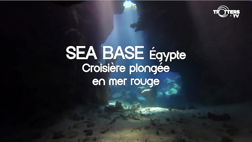 Acteurs-Locaux Paris - Les Experts Trotters au Salon de la Plongée 2025 de Paris avec Sea Base Égypte